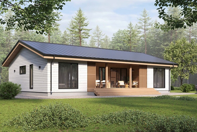 Шведский 161