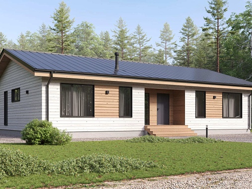 Шведский 161