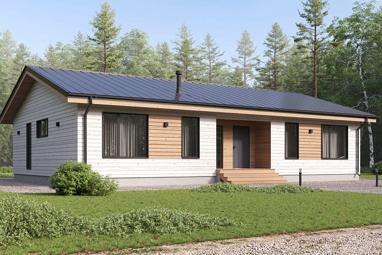 Шведский 161