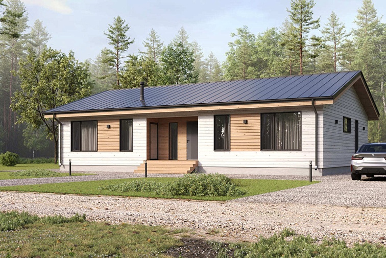 Шведский 161